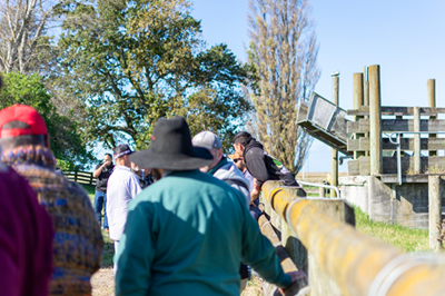 Fresh Meats staff on farm